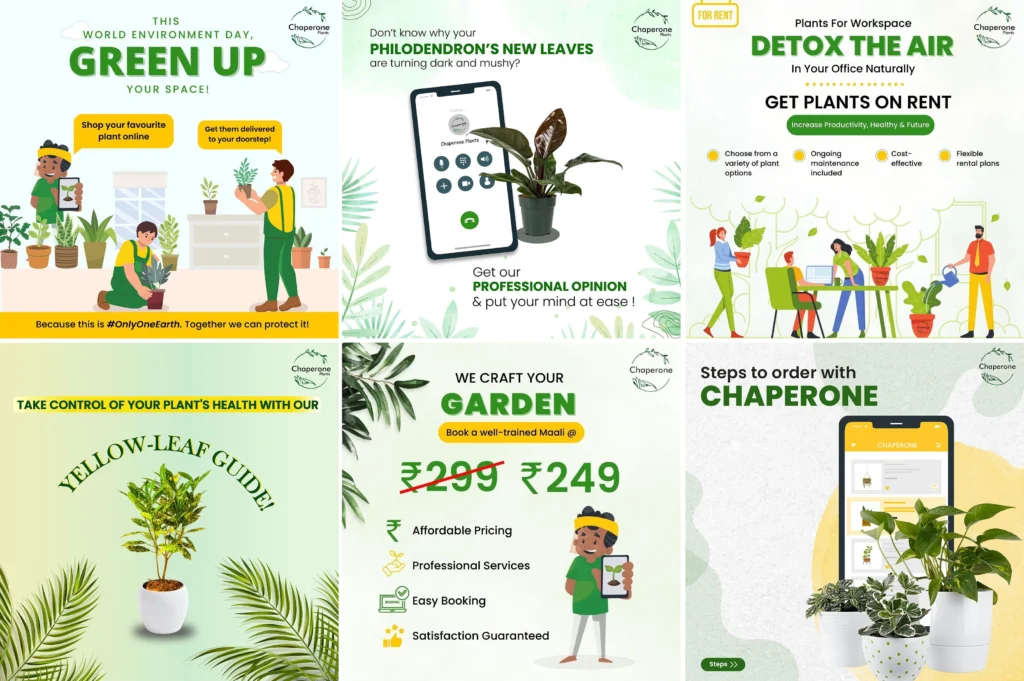 PLANT Samples Social Brillz Socialmediamarketing 1024x681 1